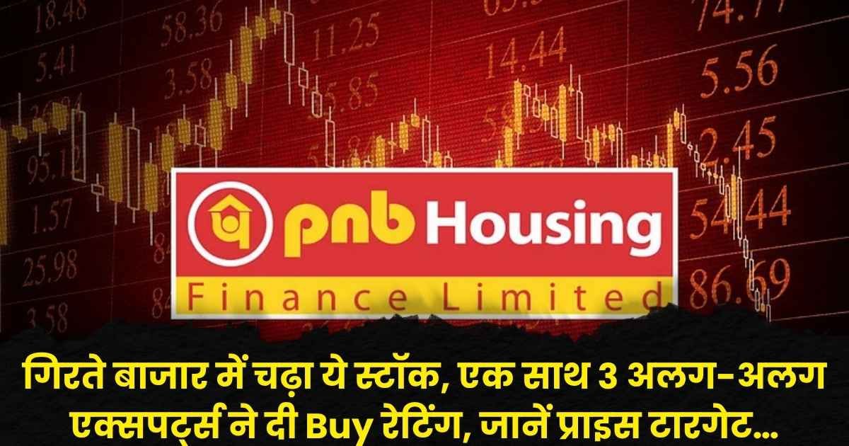 PNB Housing Finance