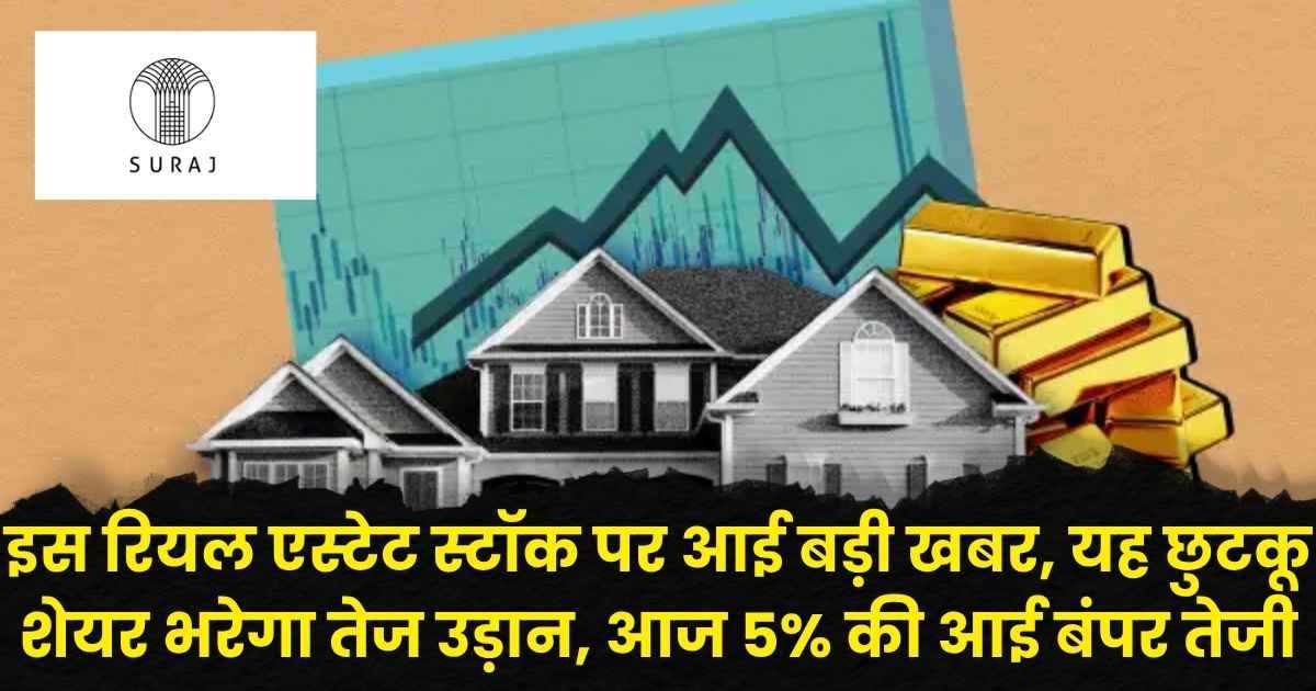 Suraj Estate Share Price